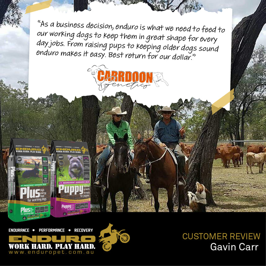 487471654_1121713963303094_573998476064478018_n