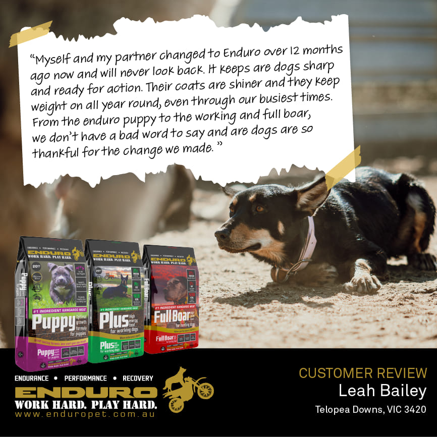 487972385_1121718353302655_2117598015294384467_n